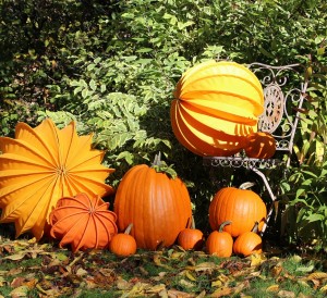 Potager en automne