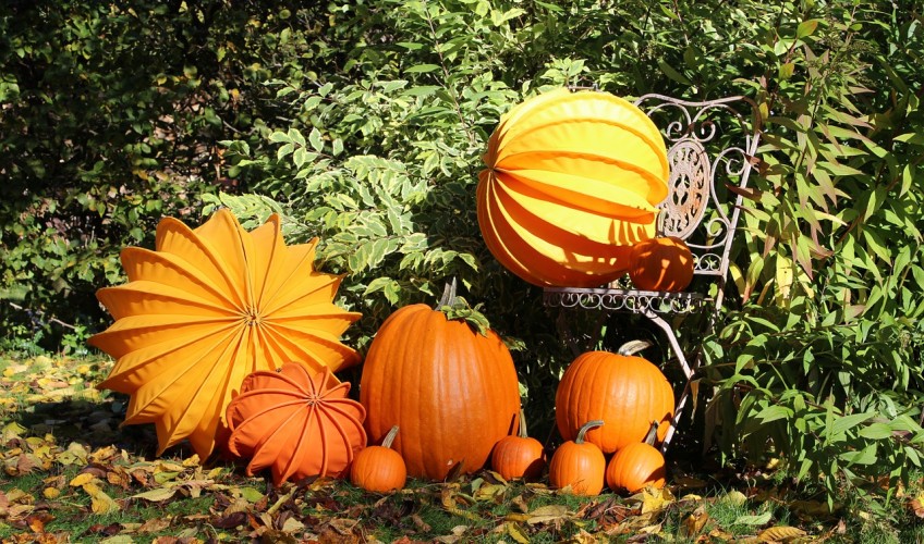 Potager en automne