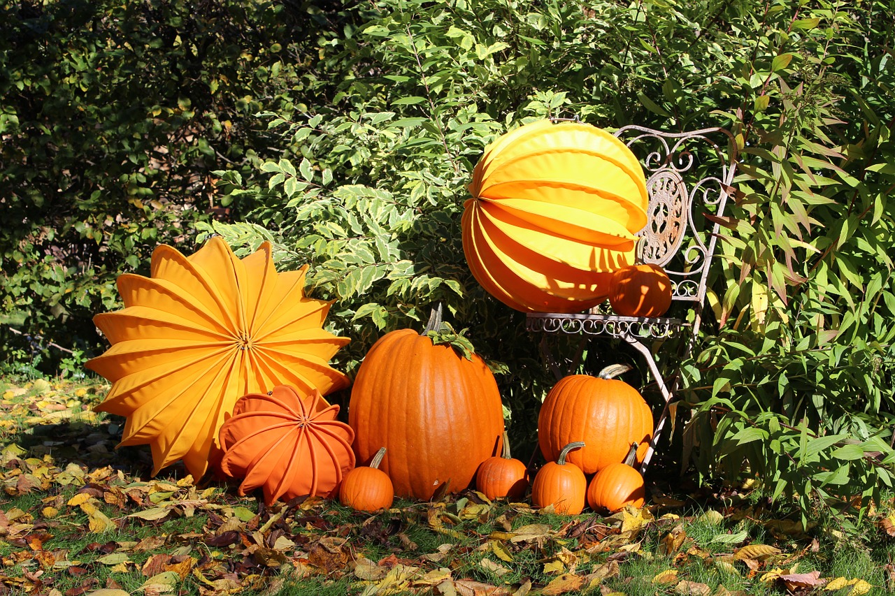 Potager en automne