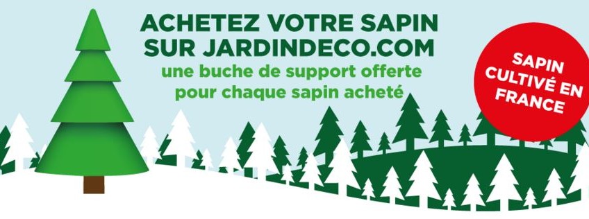 Mon sapin de noel naturel