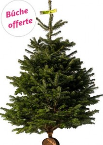 sapin de noel naturel