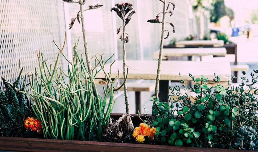 choisir sa jardinière