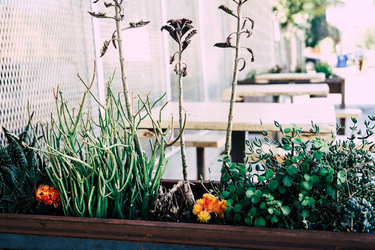 choisir sa jardinière