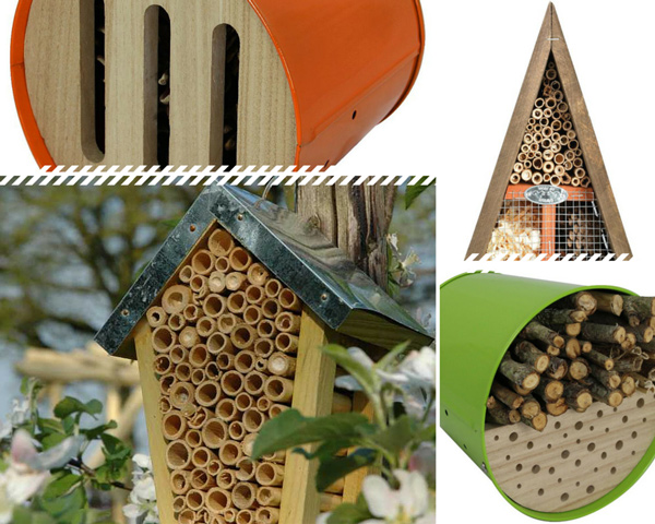 Abri pour insectes du jardin coccinelle papillon abeille