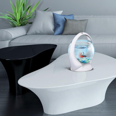 Modèles pour créer un aquarium parfait