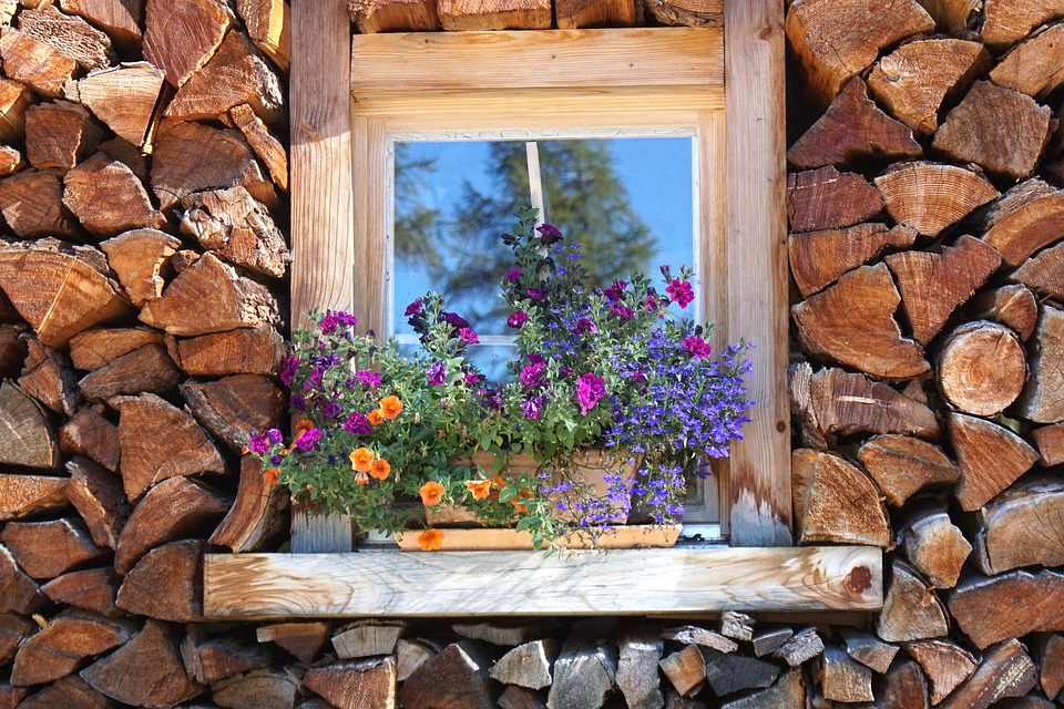 pour donner du charme à votre jardin en hiver