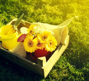 Spring or Summer Concept. Bouquet Flowers with Gardening Tools on Grass with Beautiful Sunny Light. Daylight. Horizontal with Copy Space.