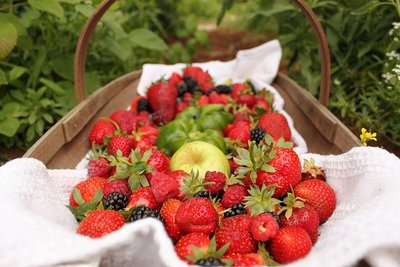 Salade de fruits recette pique nique