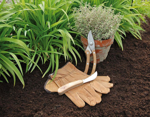 Outils taille des haies Gants jardinier